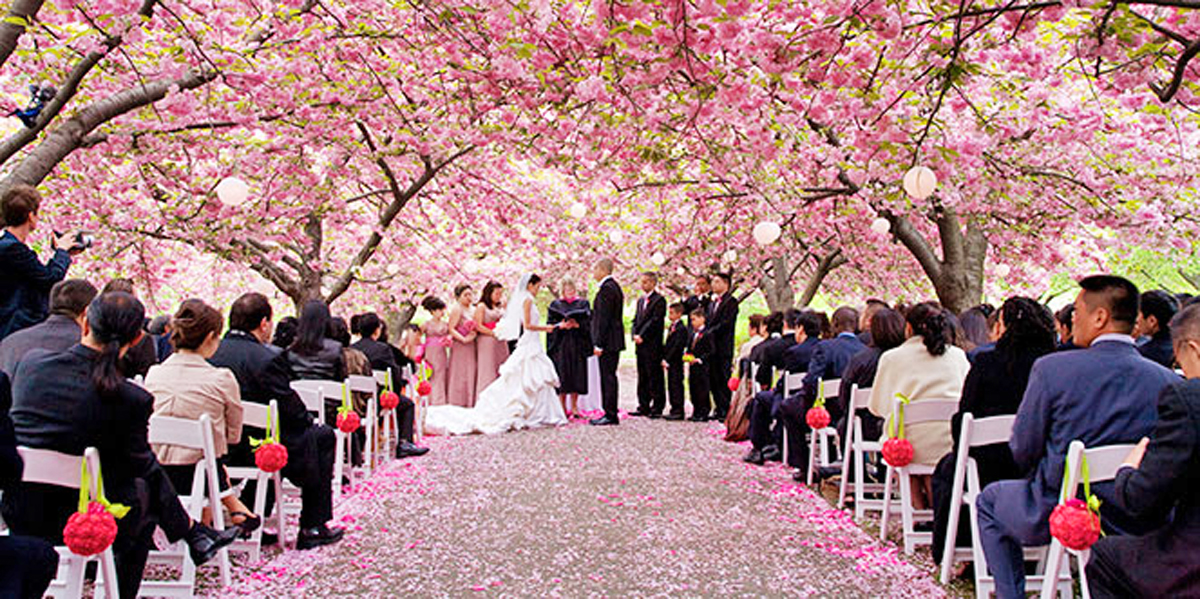 Brooklyn Botanic Garden New York Weddings