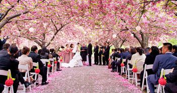Brooklyn Botanic Garden, Cherry Blossom Wedding (Photo: David Lindner)