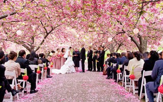 Romantic Outdoor Garden Wedding Sites In Ny Nj